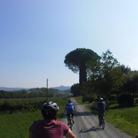 Podere Ripi ヴォルテッラ エクステリア 写真