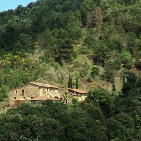 Podere Ripi ヴォルテッラ エクステリア 写真