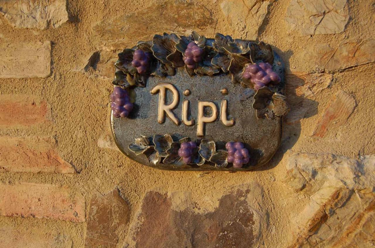 Podere Ripi ヴォルテッラ エクステリア 写真