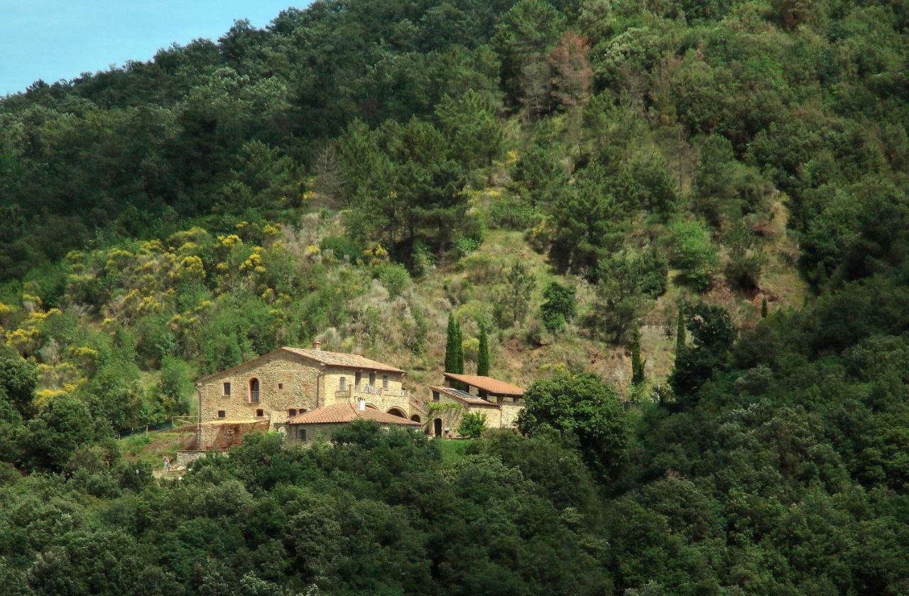 Podere Ripi ヴォルテッラ エクステリア 写真